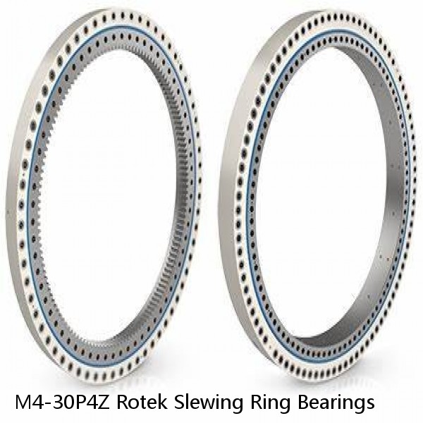 M4-30P4Z Rotek Slewing Ring Bearings