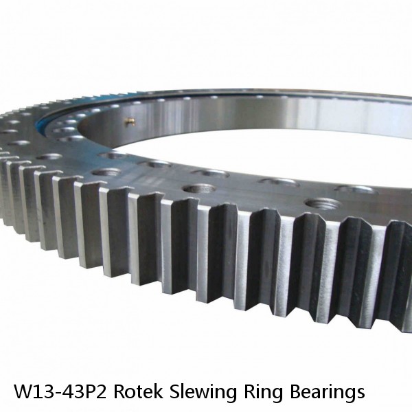 W13-43P2 Rotek Slewing Ring Bearings