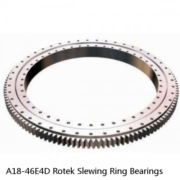 A18-46E4D Rotek Slewing Ring Bearings