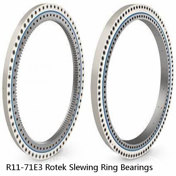 R11-71E3 Rotek Slewing Ring Bearings