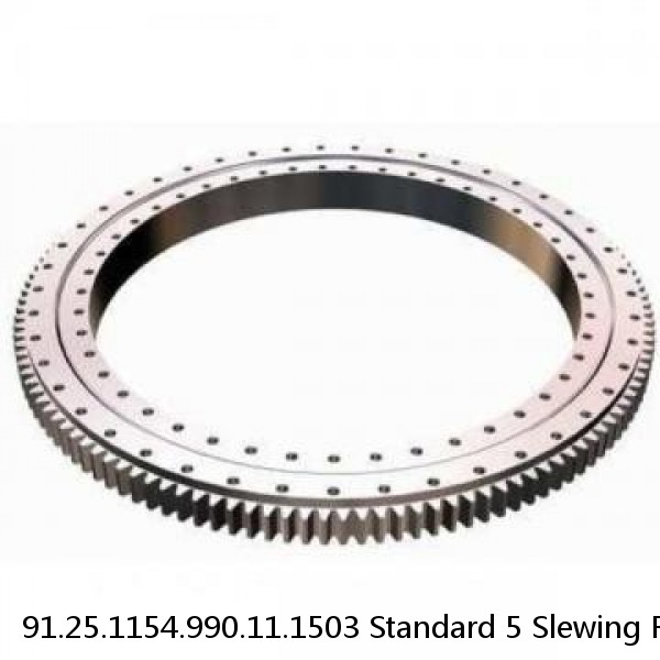91.25.1154.990.11.1503 Standard 5 Slewing Ring Bearings