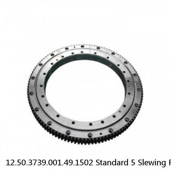 12.50.3739.001.49.1502 Standard 5 Slewing Ring Bearings