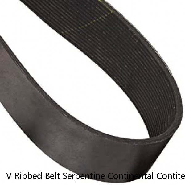 V Ribbed Belt Serpentine Continental Contitech 4PK582