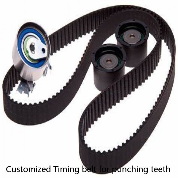 Customized Timing belt for punching teeth