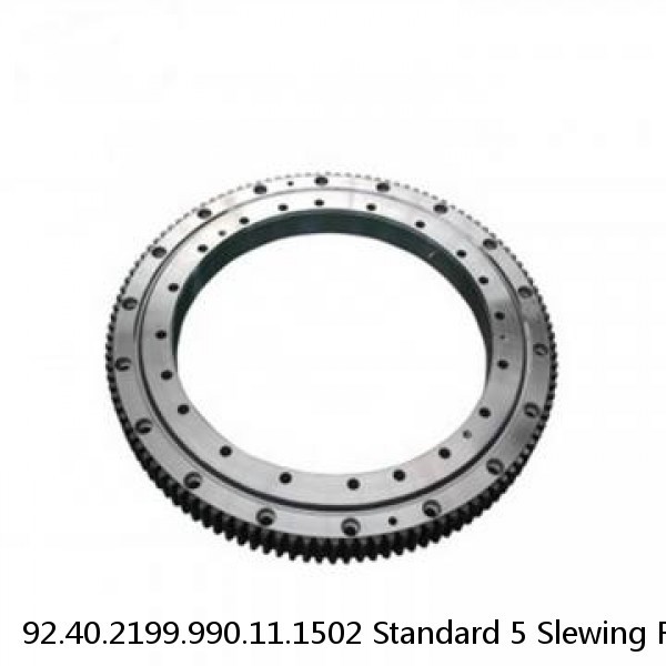 92.40.2199.990.11.1502 Standard 5 Slewing Ring Bearings