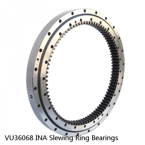 VU36068 INA Slewing Ring Bearings