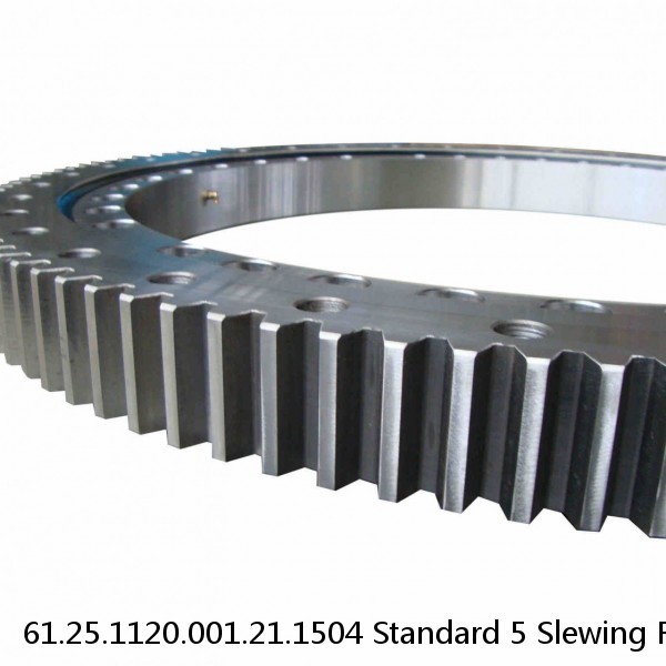 61.25.1120.001.21.1504 Standard 5 Slewing Ring Bearings