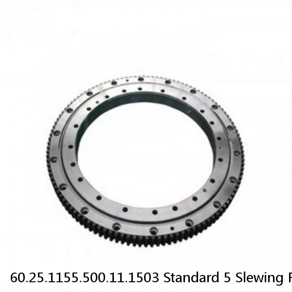 60.25.1155.500.11.1503 Standard 5 Slewing Ring Bearings