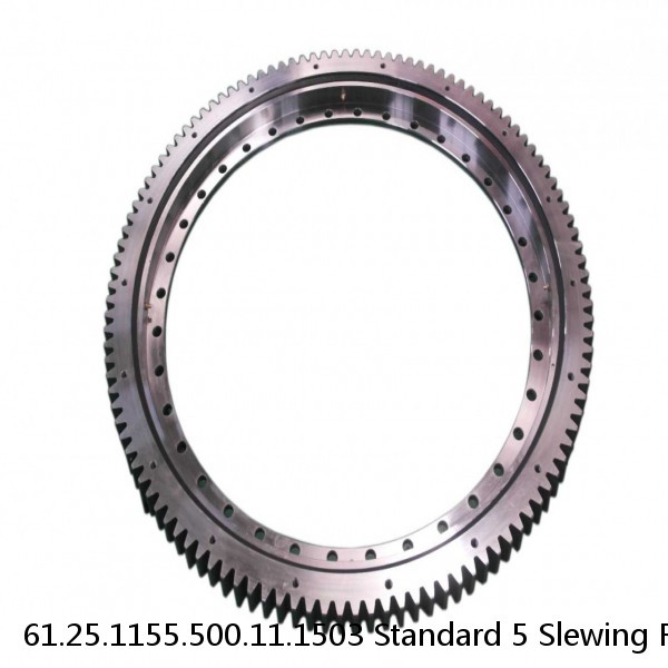 61.25.1155.500.11.1503 Standard 5 Slewing Ring Bearings