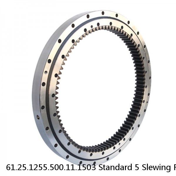 61.25.1255.500.11.1503 Standard 5 Slewing Ring Bearings