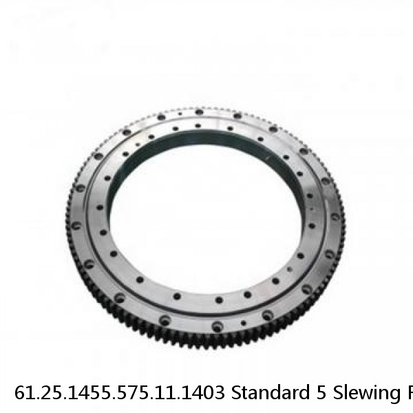 61.25.1455.575.11.1403 Standard 5 Slewing Ring Bearings