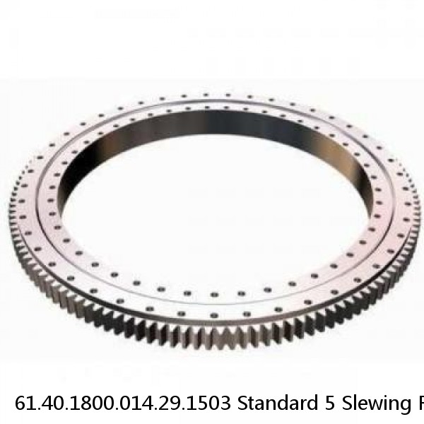 61.40.1800.014.29.1503 Standard 5 Slewing Ring Bearings