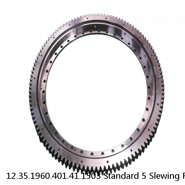 12.35.1960.401.41.1503 Standard 5 Slewing Ring Bearings