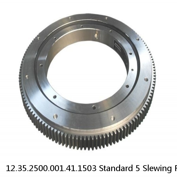 12.35.2500.001.41.1503 Standard 5 Slewing Ring Bearings