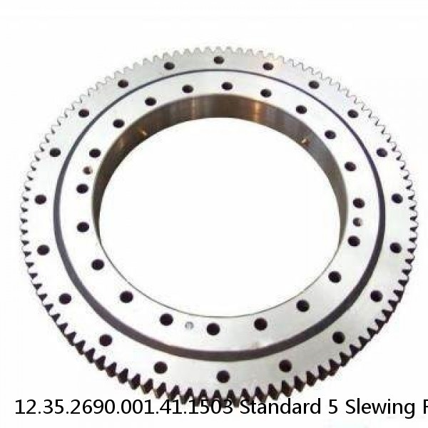 12.35.2690.001.41.1503 Standard 5 Slewing Ring Bearings