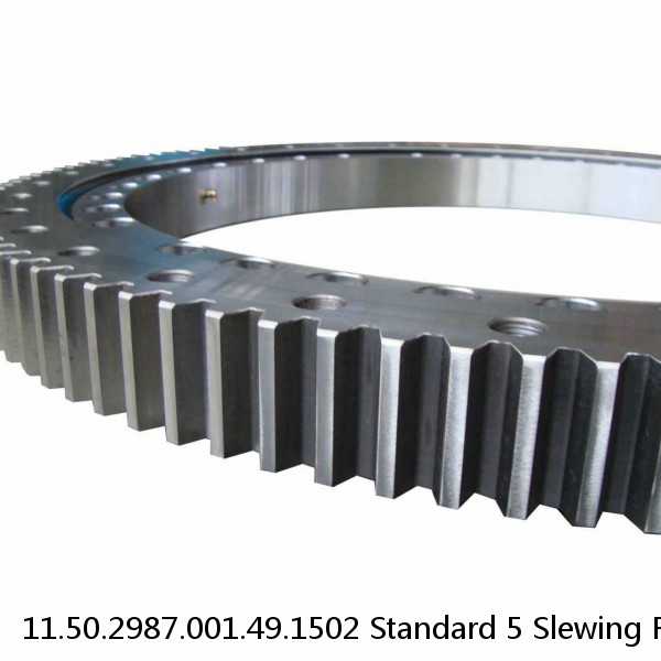 11.50.2987.001.49.1502 Standard 5 Slewing Ring Bearings