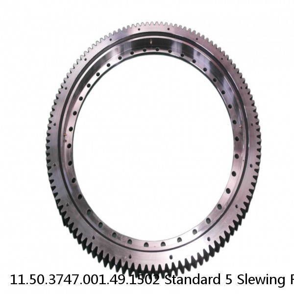 11.50.3747.001.49.1502 Standard 5 Slewing Ring Bearings