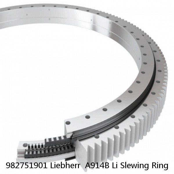 982751901 Liebherr  A914B Li Slewing Ring