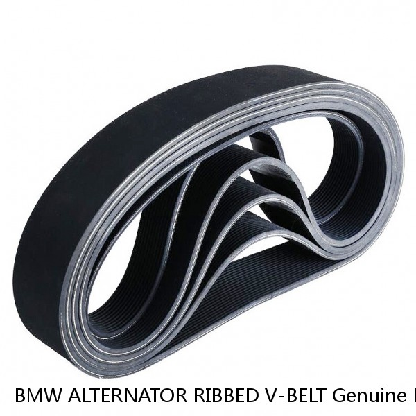BMW ALTERNATOR RIBBED V-BELT Genuine BMW R Oilhead 12 31 7 681 841 , 4PK 592 NEW